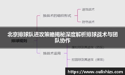 北京排球队进攻策略揭秘深度解析排球战术与团队协作